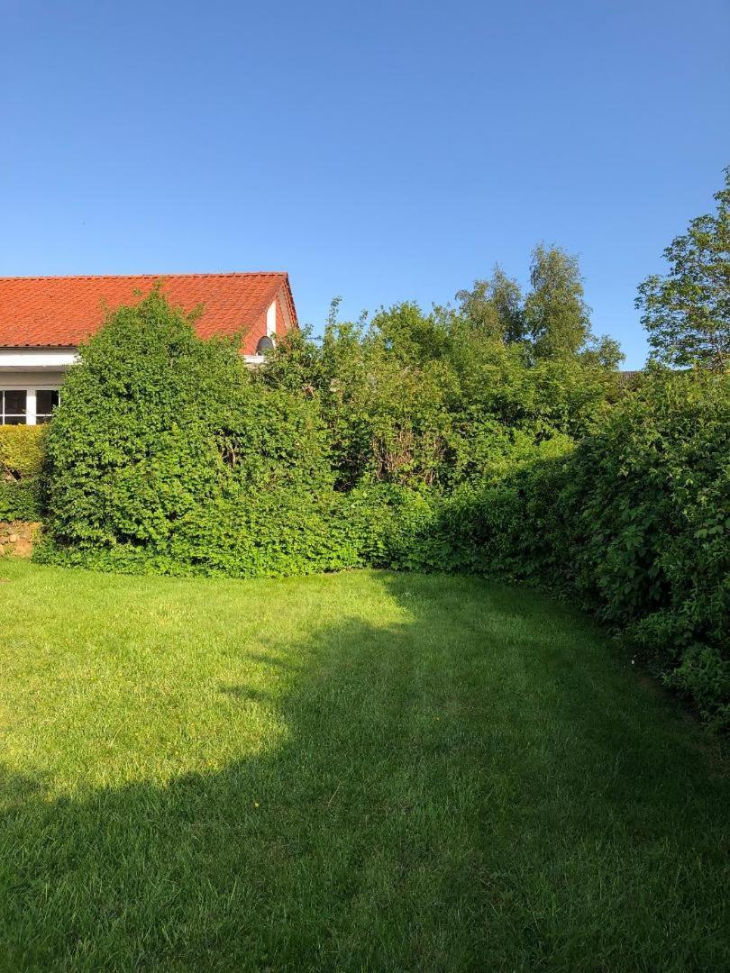 Schleihaus Hinterm Deich Βίλα Kappeln Εξωτερικό φωτογραφία